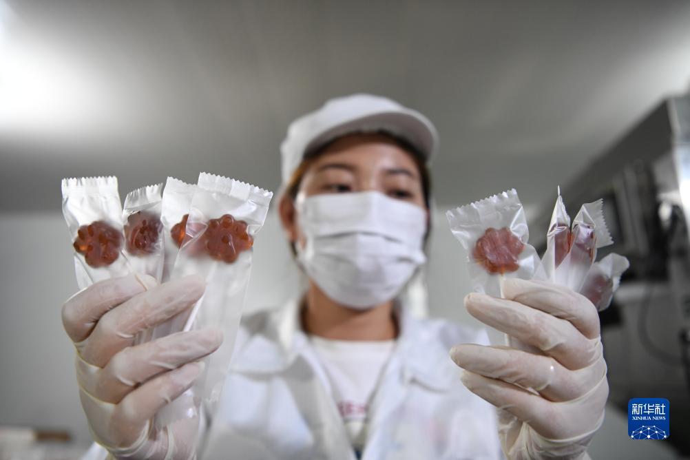 威利斯人官方网站app